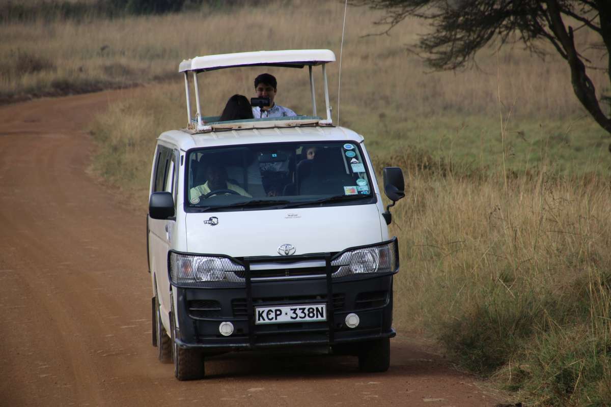 Safari Nairobi Nationalpark